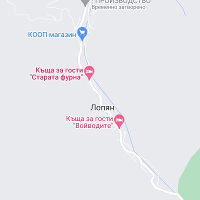 Лопян