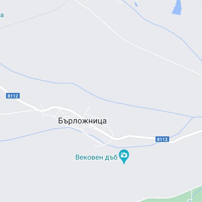 Бърложница