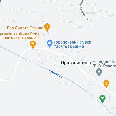 Драговищица