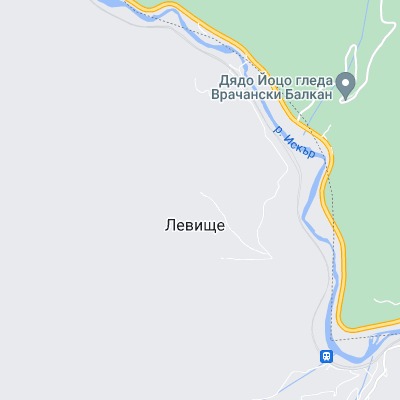 Левище