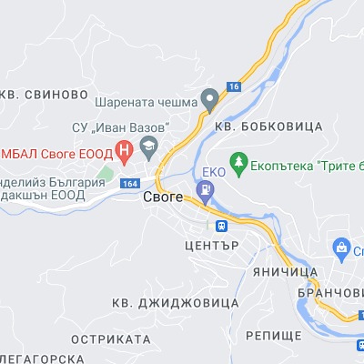 Своге