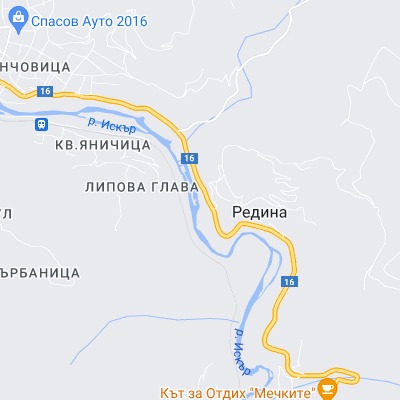 Редина