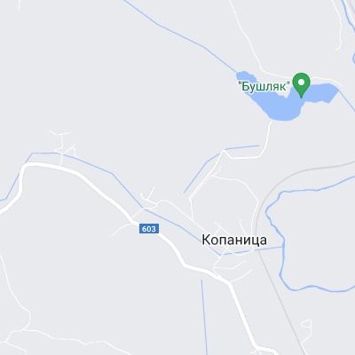 Копаница