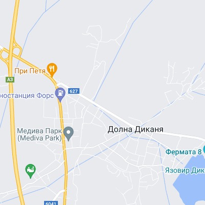 Долна Диканя