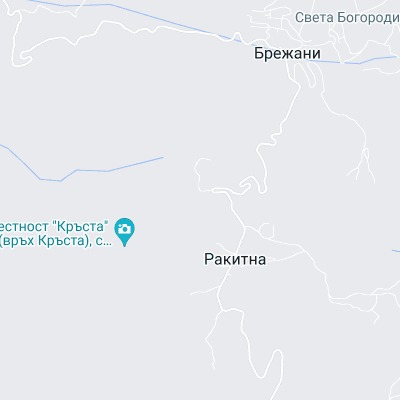 Ракитна