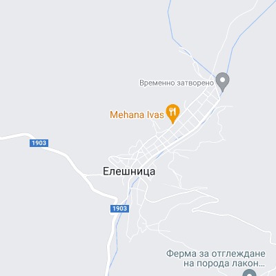 Елешница