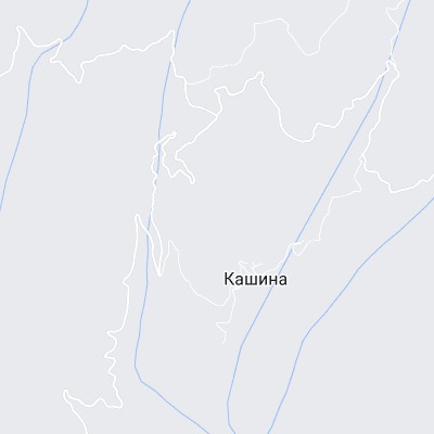 Кашина