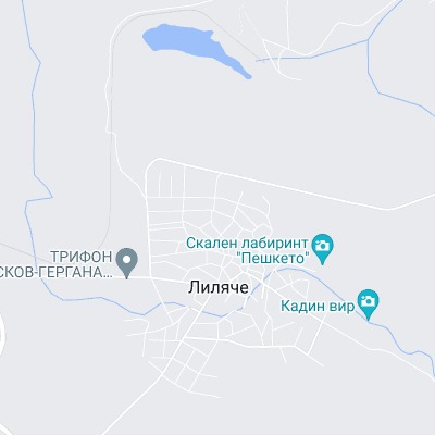 Лиляче