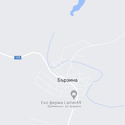 Бързина