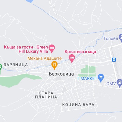 Берковица