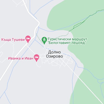 Долно Озирово