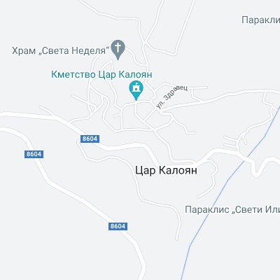 Цар Калоян