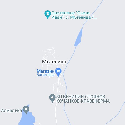 Мътеница