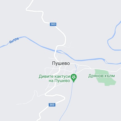 Пушево