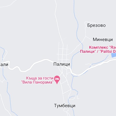 Палици