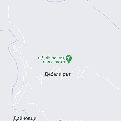 Дебели рът