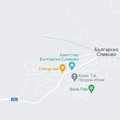 Българско Сливово