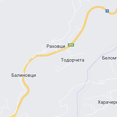 Тодорчета