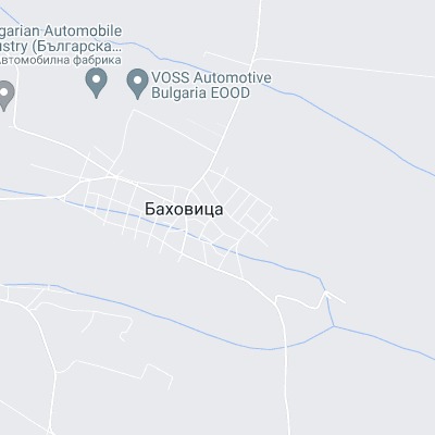 Баховица