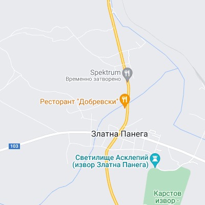Златна Панега