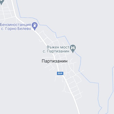 Партизанин