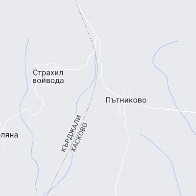 Пътниково