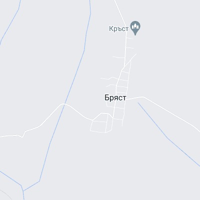 Бряст