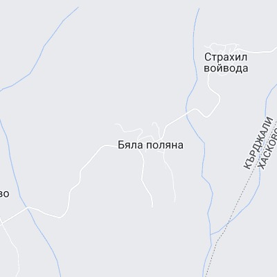 Бяла поляна