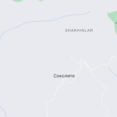 Соколите