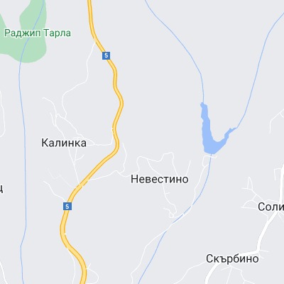 Невестино