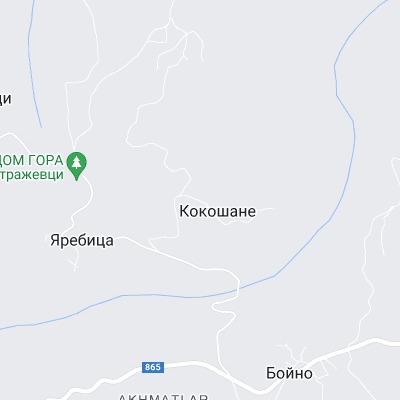 Кокошане