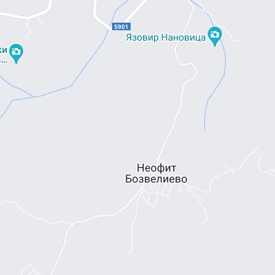 Неофит Бозвелиево