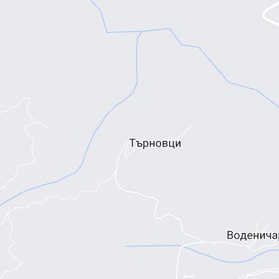 Търновци
