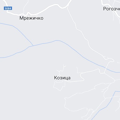 Козица