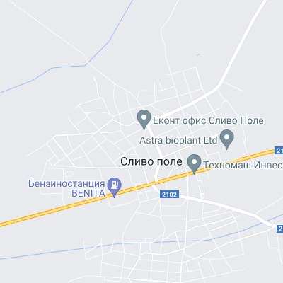 Сливо поле