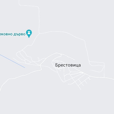Брестовица