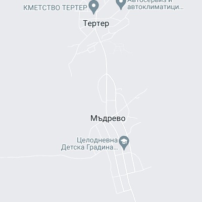 Мъдрево
