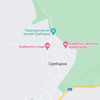 Сребърна