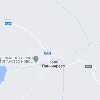 Ново Паничарево