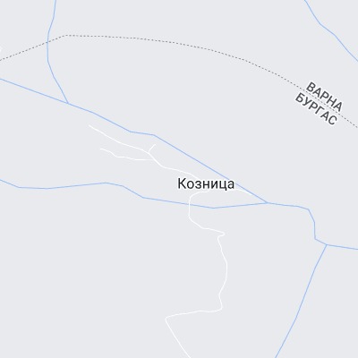 Козница