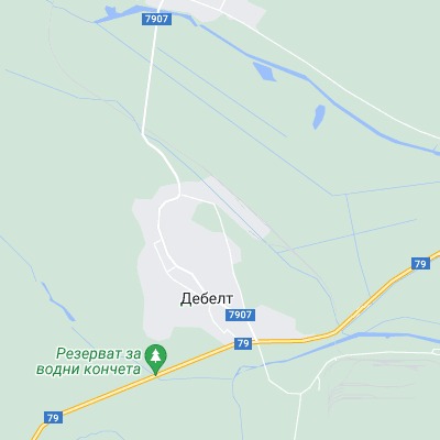 Дебелт