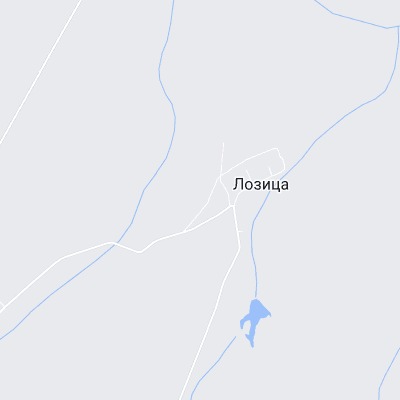 Лозица