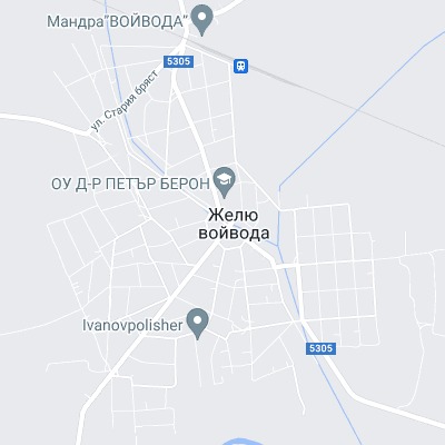 Желю войвода