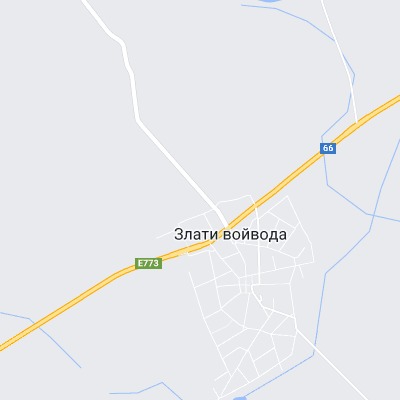 Злати войвода