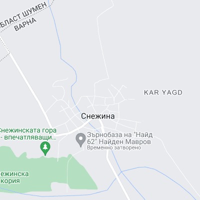 Снежина