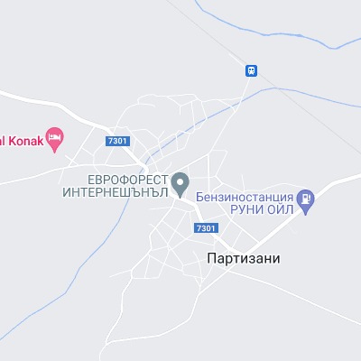 Партизани