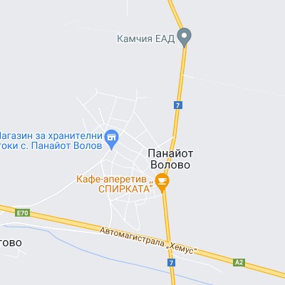 Панайот Волово
