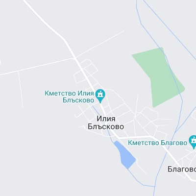 Илия Блъсково