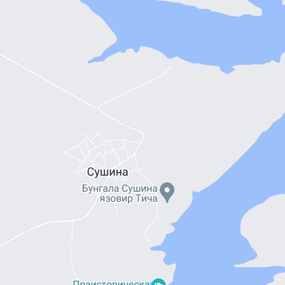 Сушина