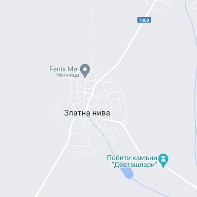 Златна нива
